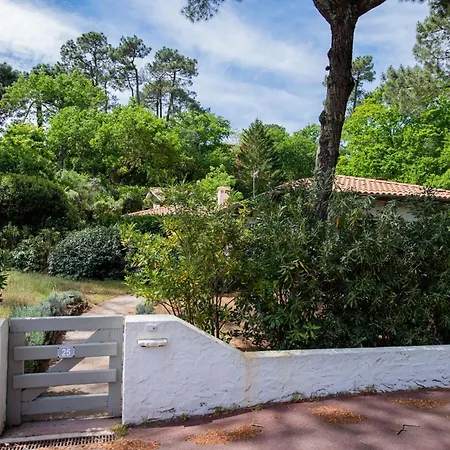 Villa Spacieuse A Arcachon, Proche De Pereire, Jardin Arcachon